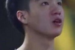 圈内爆料文竹,圈内爆料揭示神秘面纱